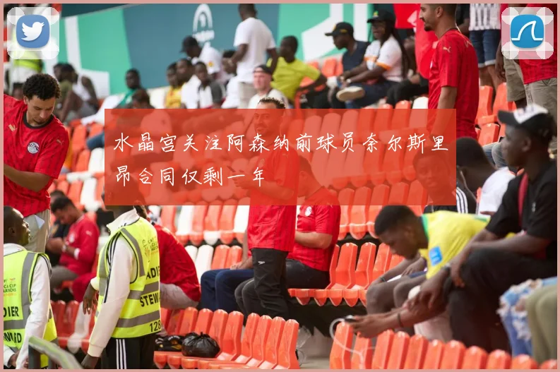 水晶宫关注阿森纳前球员奈尔斯里昂合同仅剩一年