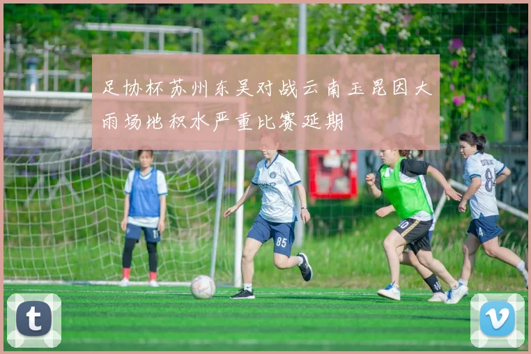 足协杯苏州东吴对战云南玉昆因大雨场地积水严重比赛延期