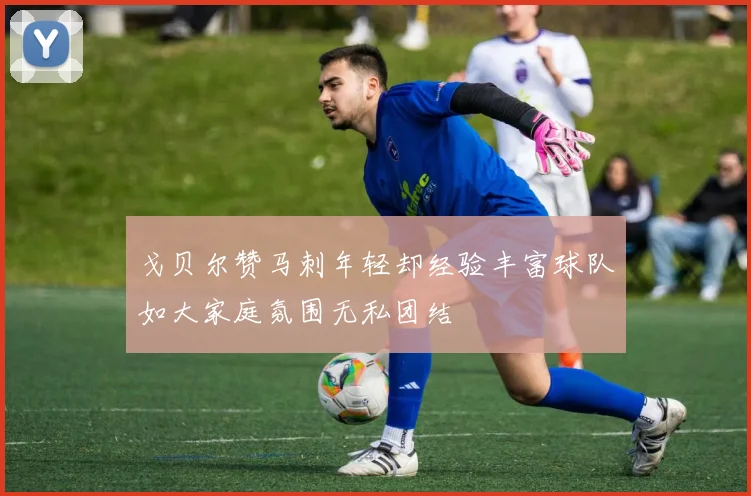 戈贝尔赞马刺年轻却经验丰富球队如大家庭氛围无私团结