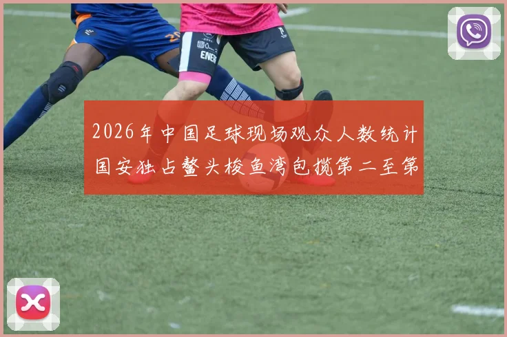 2026年中国足球现场观众人数统计国安独占鳌头梭鱼湾包揽第二至第七位